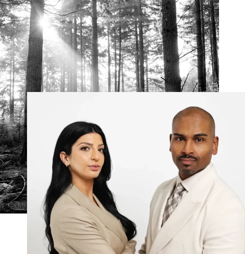 Our Law firm - New 2x